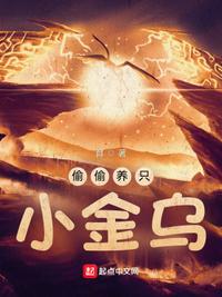 偷偷養(yǎng)只小金烏杜愚