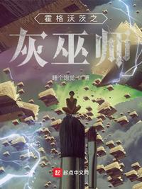 霍格沃茨之灰巫師安東