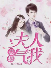 夫人總想氣我全文免費閱讀小說