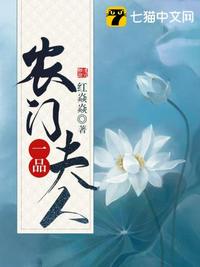 農(nóng)門一品夫人