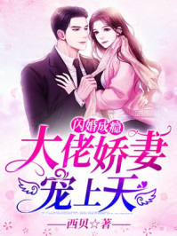 閃婚成癮：大佬嬌妻寵上天