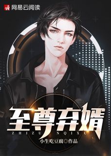 至尊棄婿