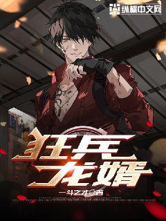 狂兵龍婿