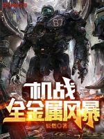 機戰:全金屬風暴