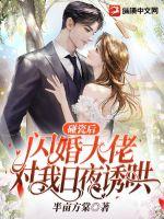 碰瓷后，閃婚大佬對我日夜誘哄