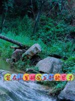 茍在山里搞五行陰陽