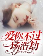愛你不過(guò)一場(chǎng)浩劫喬笙陸廷淵