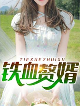 鐵血贅婿蕭辰