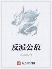 反派公敵