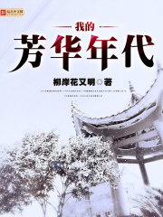 我的芳華年代